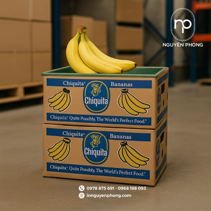 Mẫu thùng carton đựng chuối kích thước tùy chỉnh theo yêu cầu